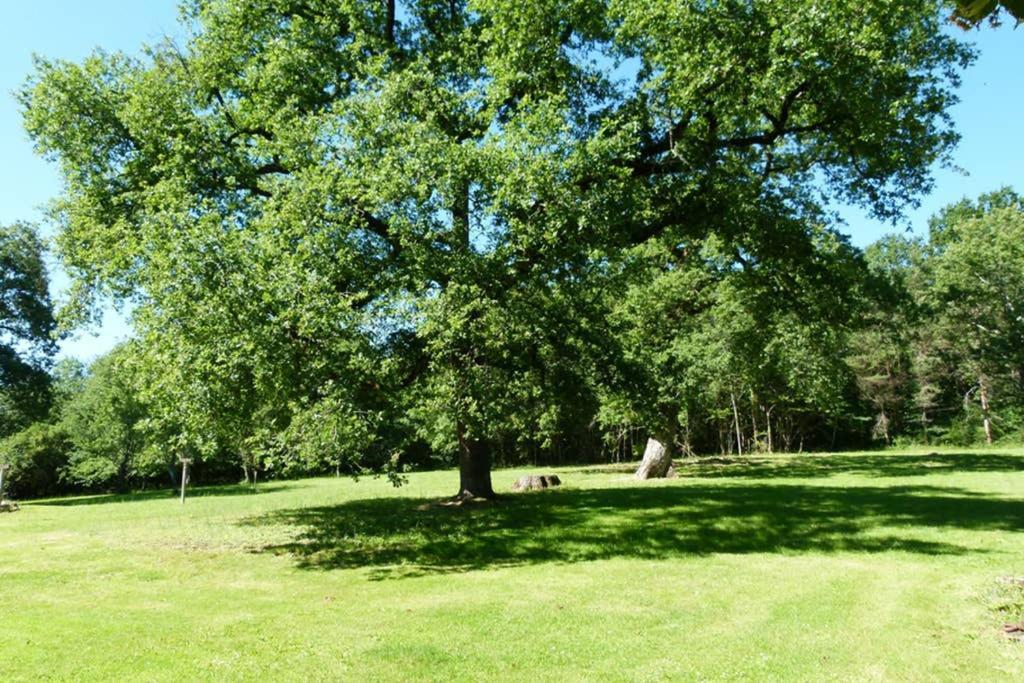 Gite En Brenne Les Chenes Merigny Екстер'єр фото